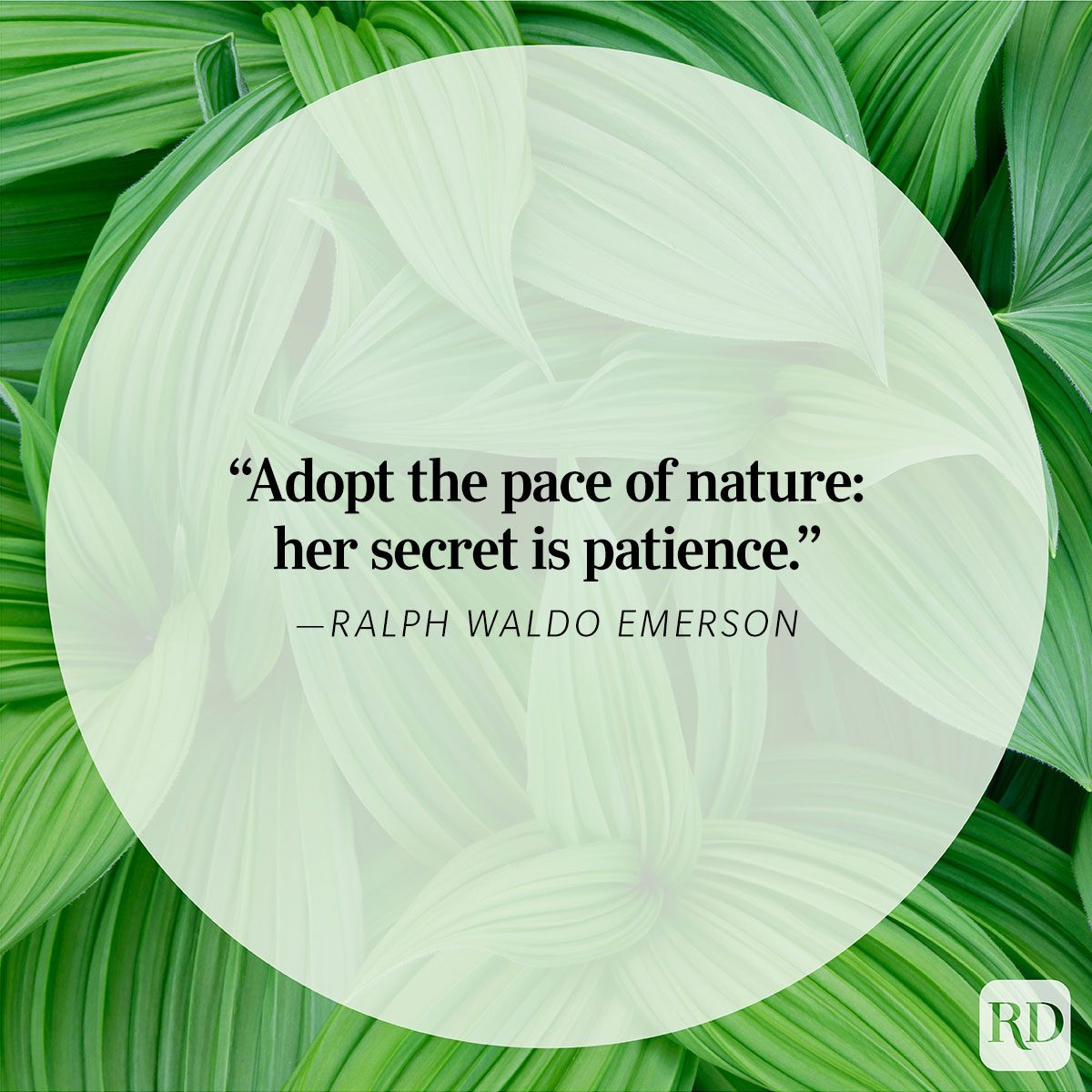 Nature Quote By Ralph Waldo Emerson