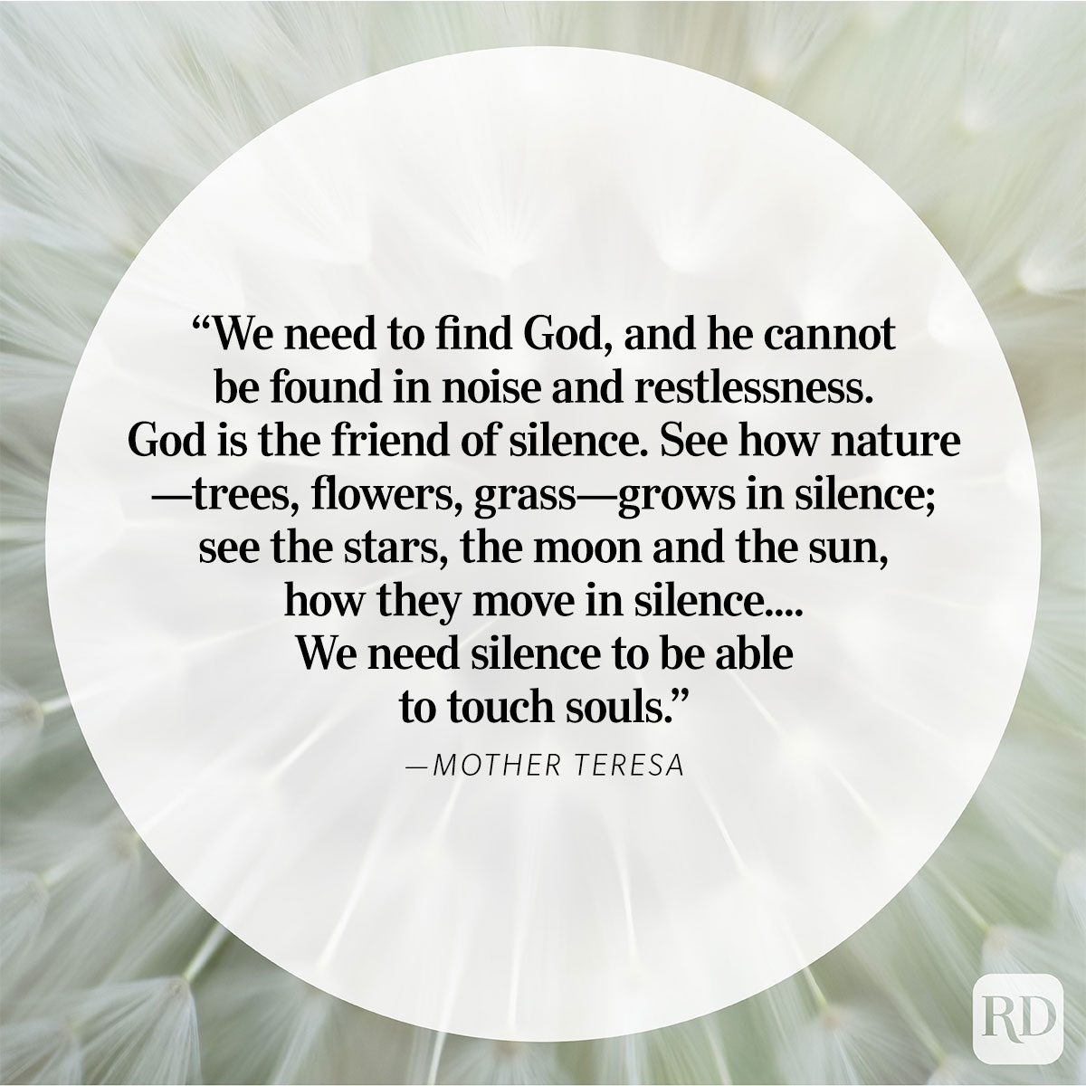 Nature Quote By Mother Teresa