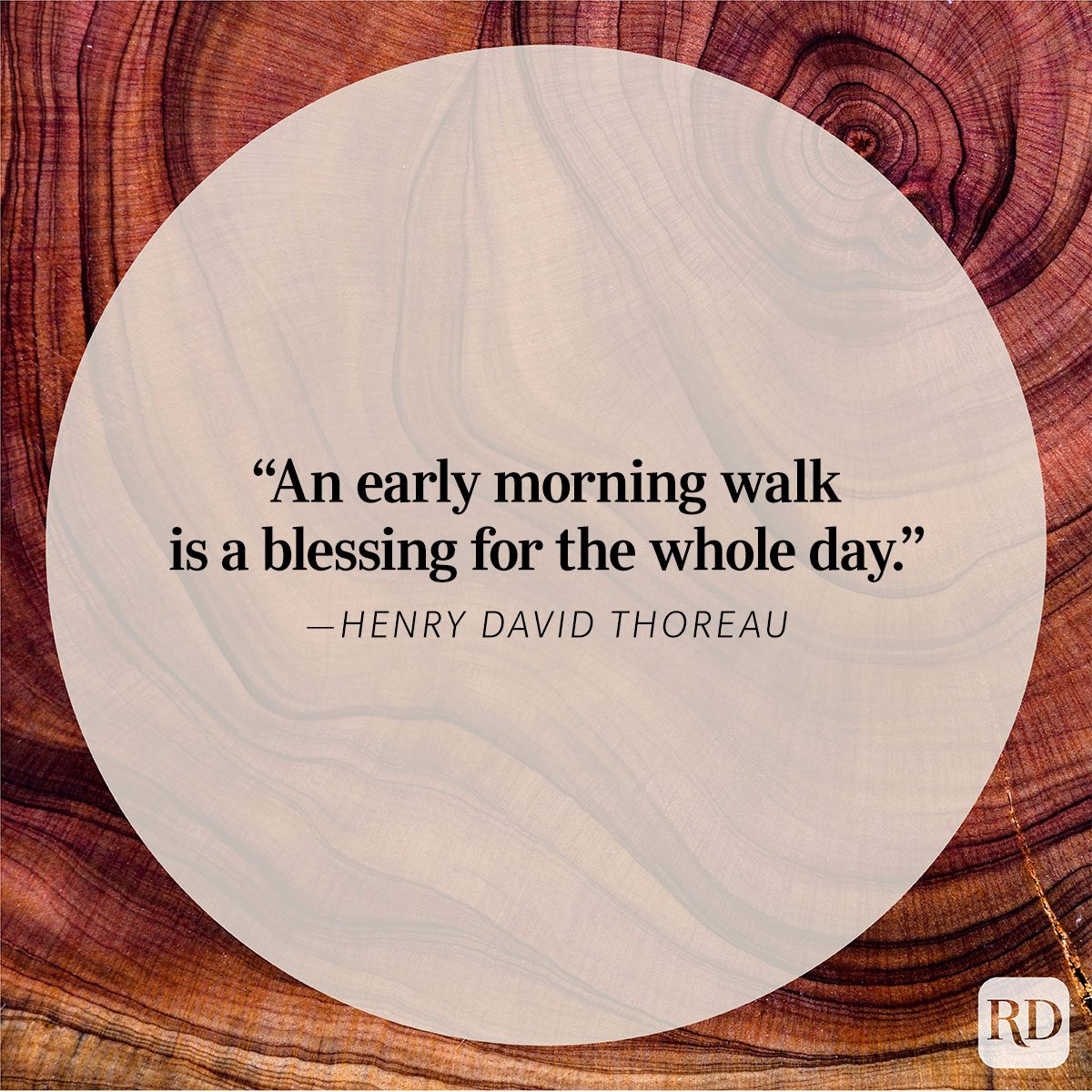 Nature Quote By Henry David Thoreau