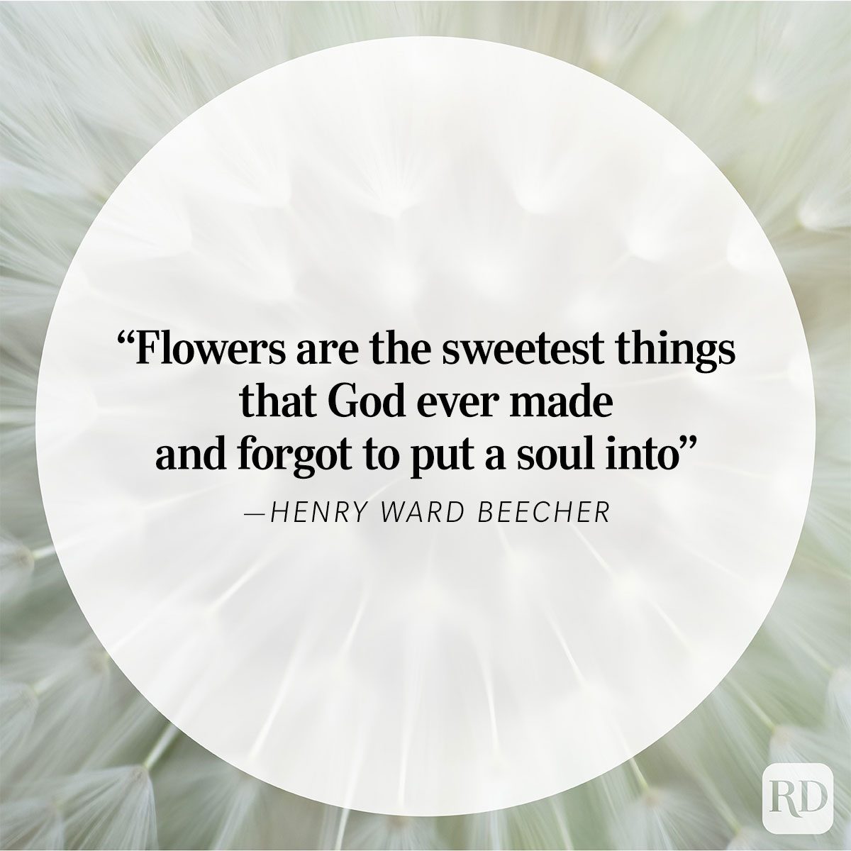 Nature Quote By Henry Ward Beecher