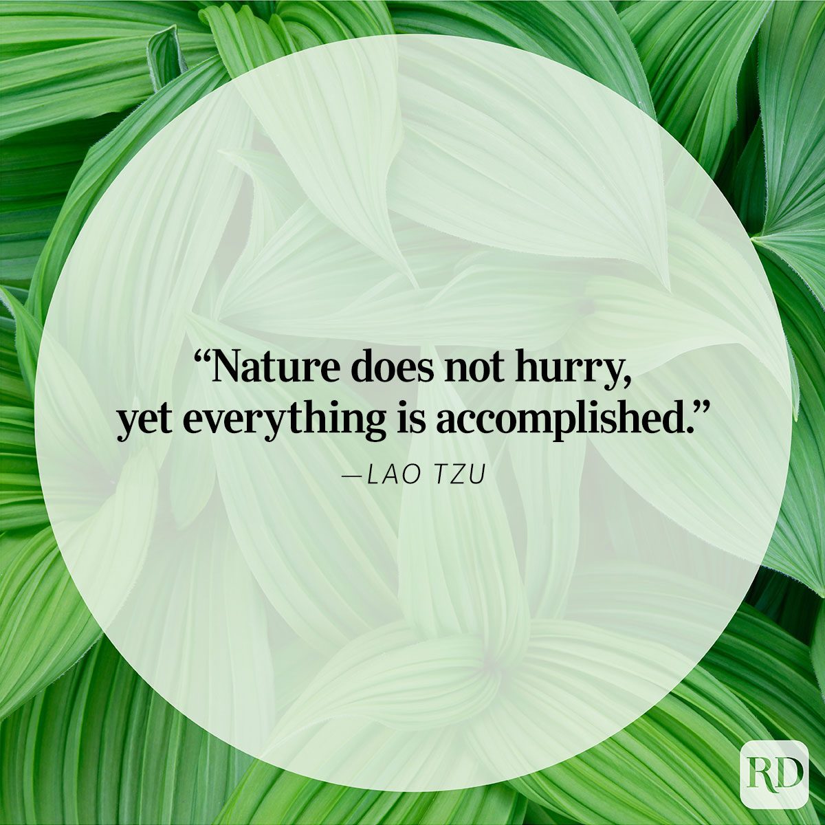 Nature Quote By Lao Tzu