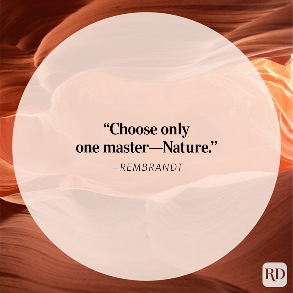 Nature Quote By Rembrandt