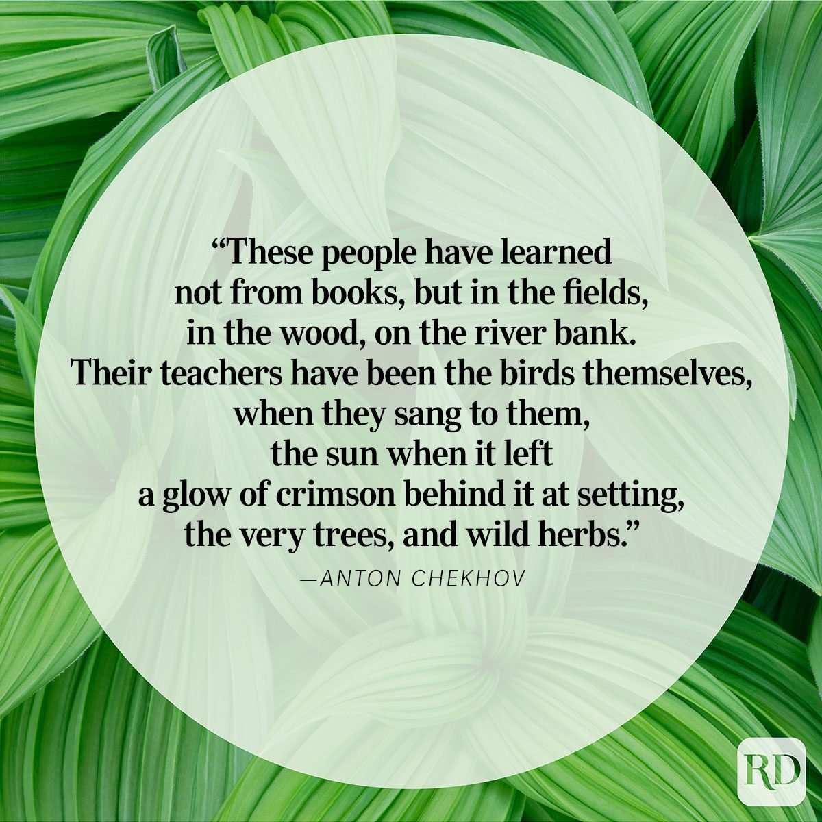 Nature Quote By Anton Chekhov