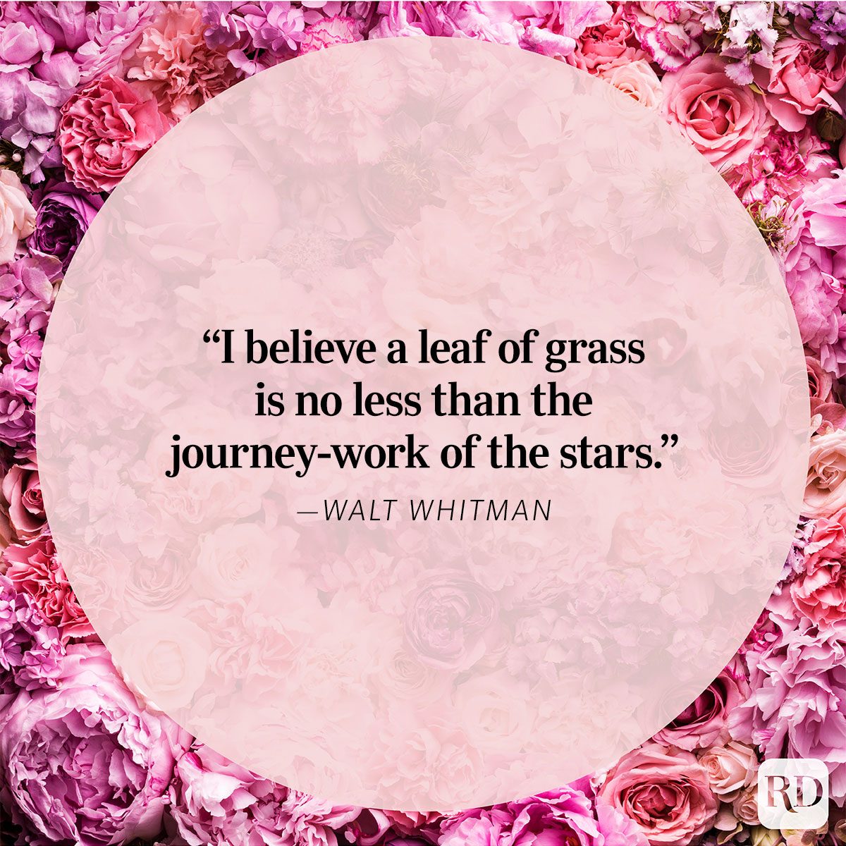 Nature Quote By Walt Whitman