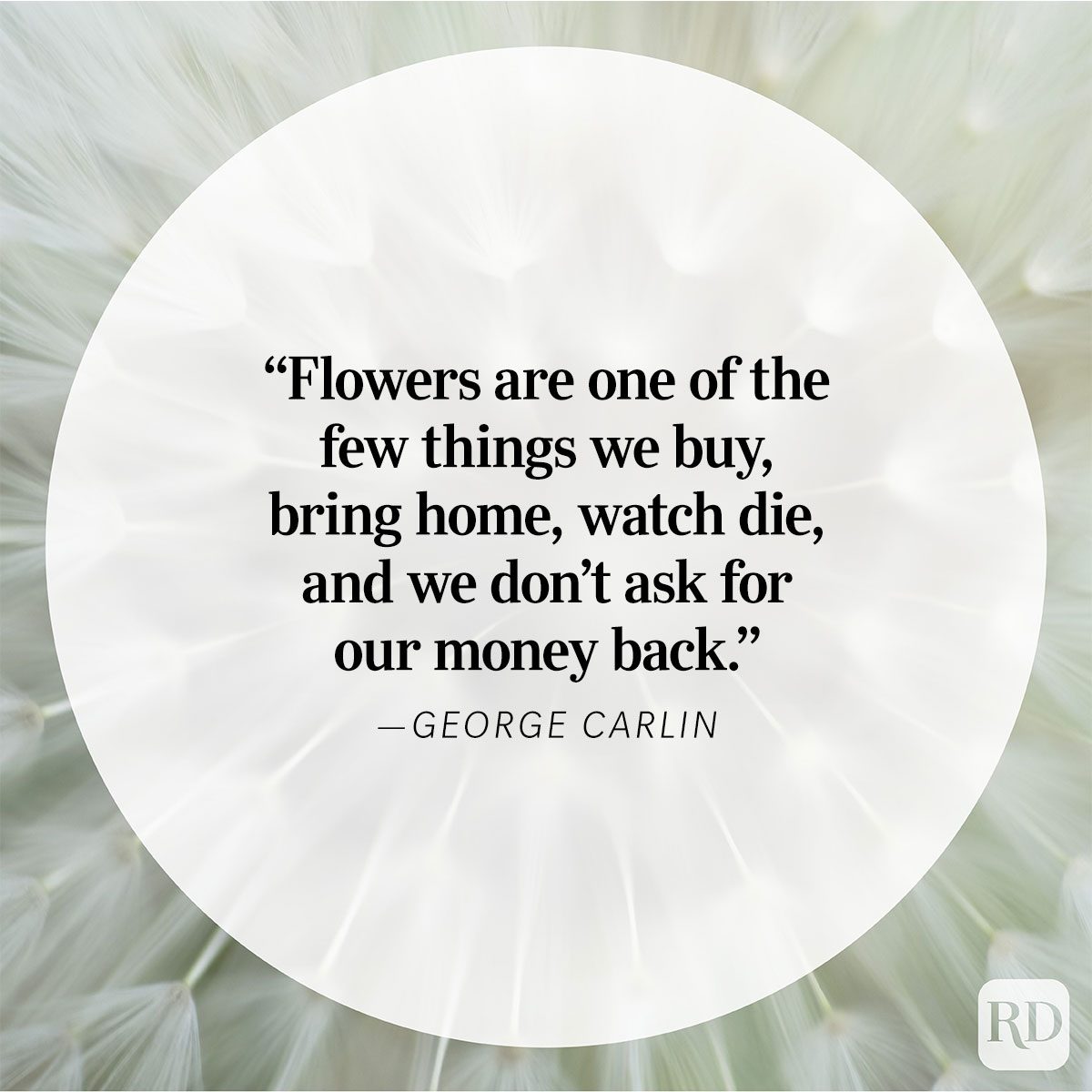 Nature Quote By George Carlin