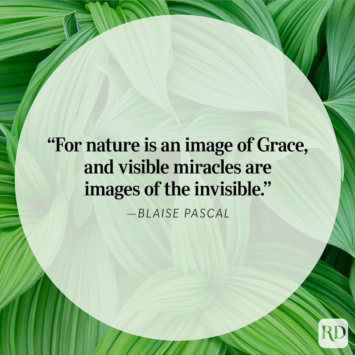 Nature quote by Blaise Pascal