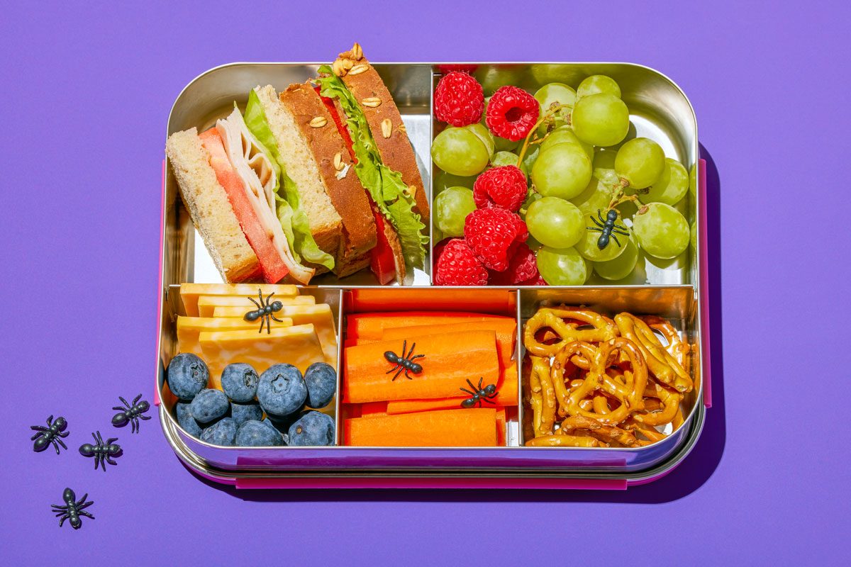 High angle shot of candy ants in a kids lunch box; includes a sandwich; fresh berries; and a treat; with a few candy ants outside the lunch box next to it; purple surface;