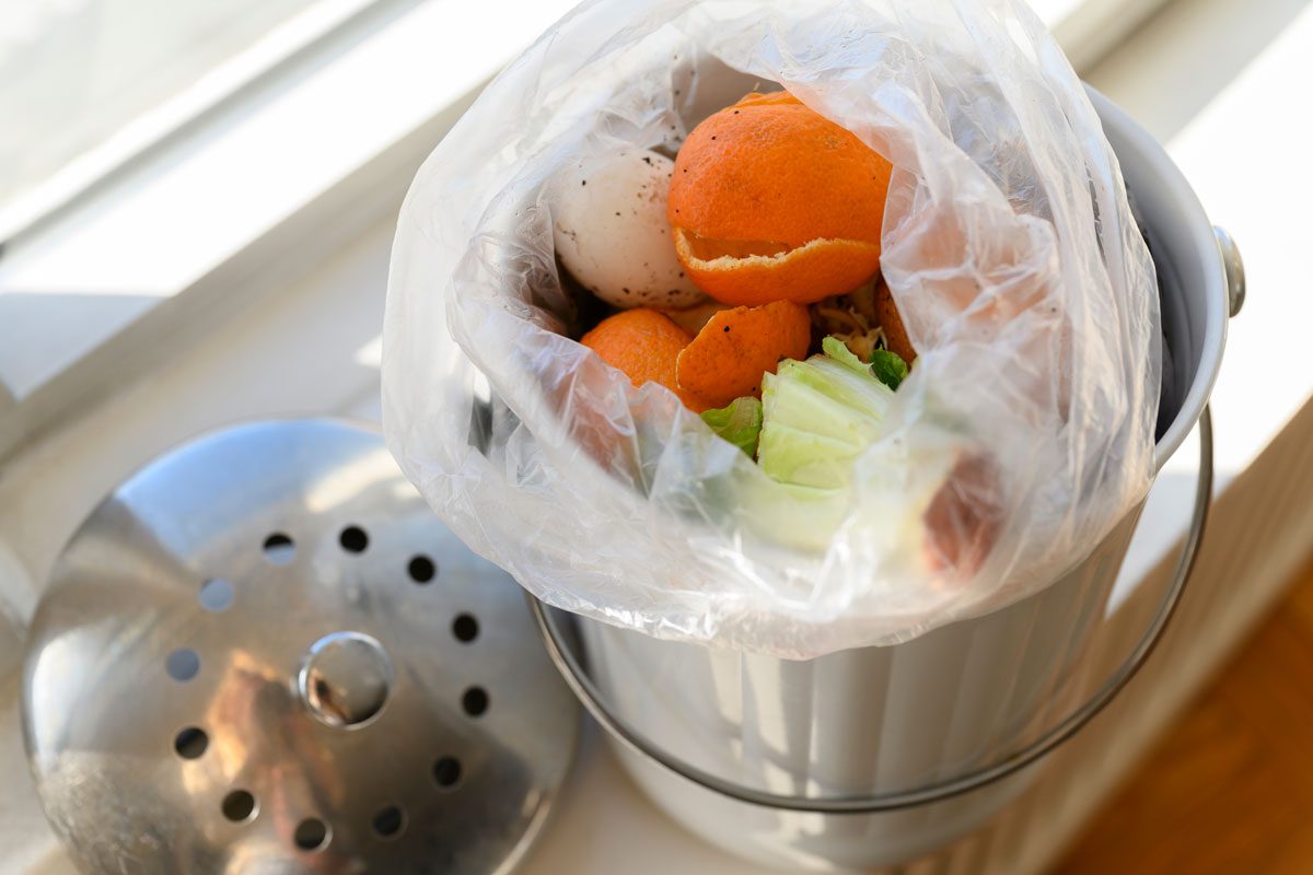 Item You Should Never Put In Your Garbage Disposal Gettyimages 1221437883