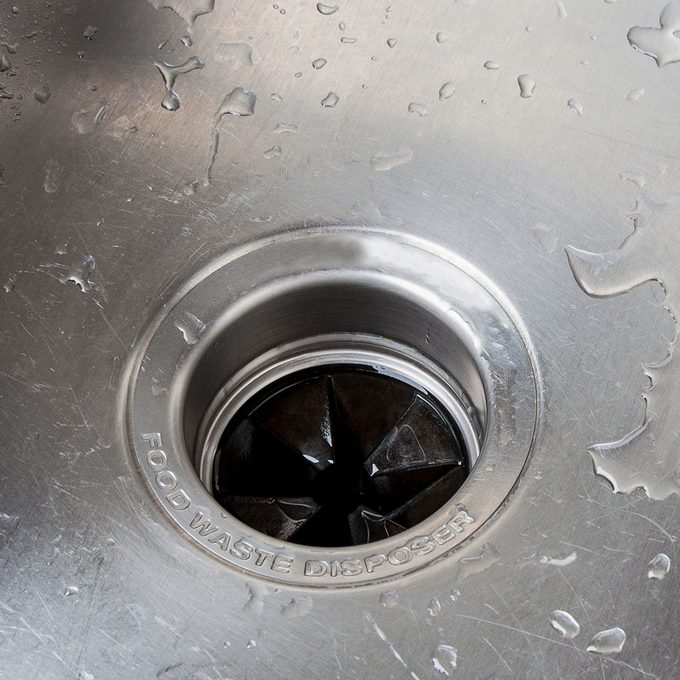 Item You Should Never Put In Your Garbage Disposal