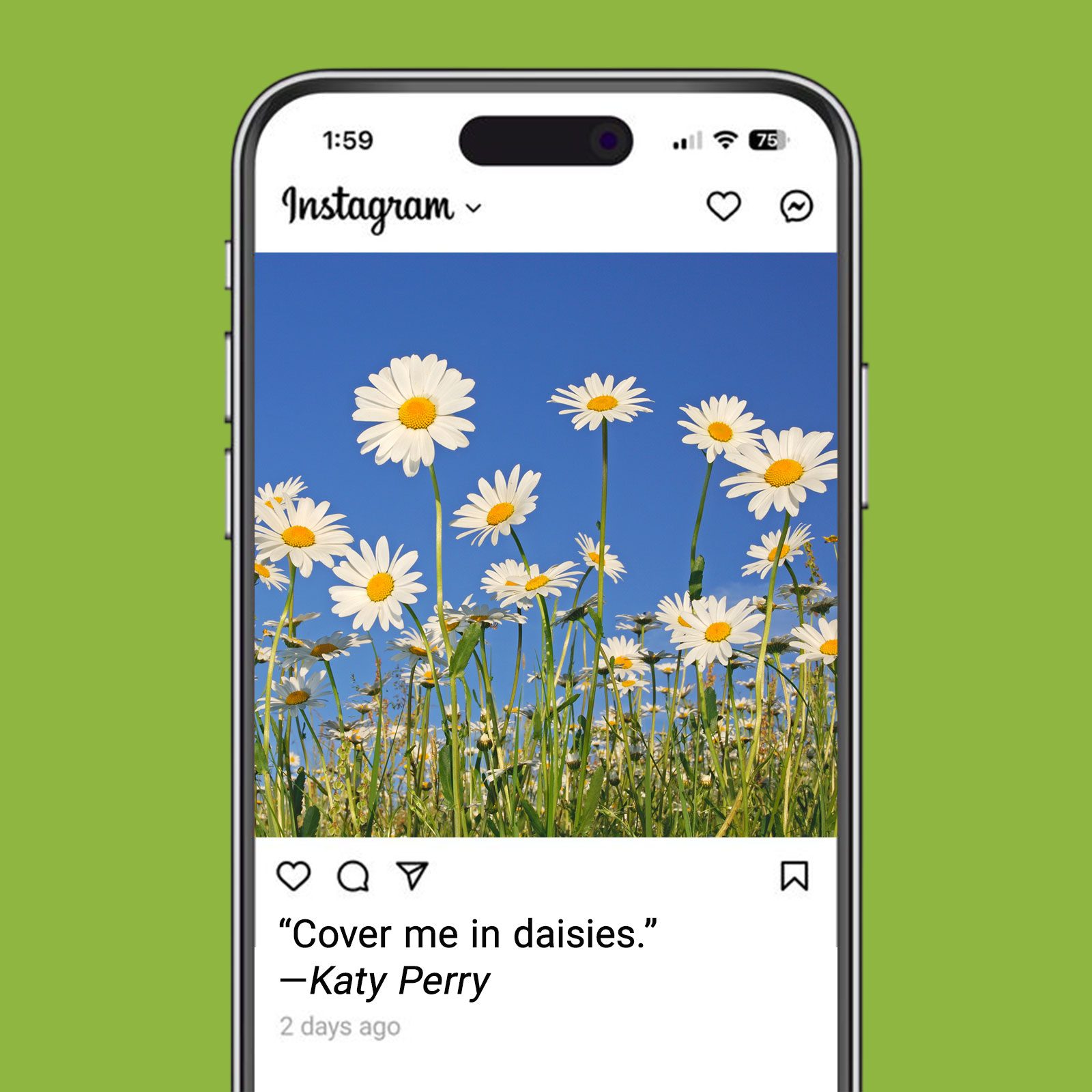 Spring Captions Inspired By Songss