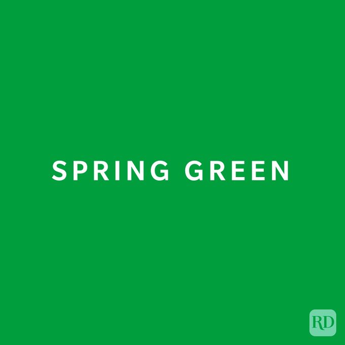 A solid green square with white text in the center that reads "SPRING GREEN." In the bottom right corner is a small "RD" watermark.