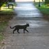 13 Surprising Things You Didnâ€™t Know Were Considered Bad Luck