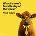 15 Funny Monday Jokes to Get You Through the Week