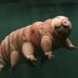 The Strangest Animal Found in Each State