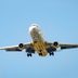 How to Survive a Plane Crash, According to Science