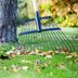 Do You Really Need to Rake Your Leaves? We Asked a Lawn-Care Expert, and the Answer May Surprise You